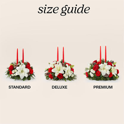 Seasonal Festivities Centerpiece – ANITA'S FLOWERS AND ICE CREAM LLC, Passaic NJ