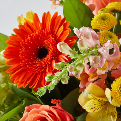 Autumn Sunshine Bouquet – ANITA'S FLOWERS AND ICE CREAM LLC, Passaic NJ