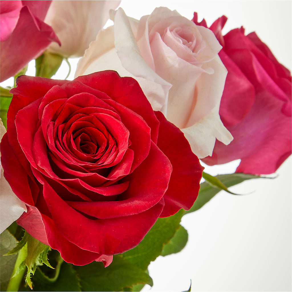 Charming Rose Bouquet – ANITA'S FLOWERS AND ICE CREAM LLC, Passaic NJ