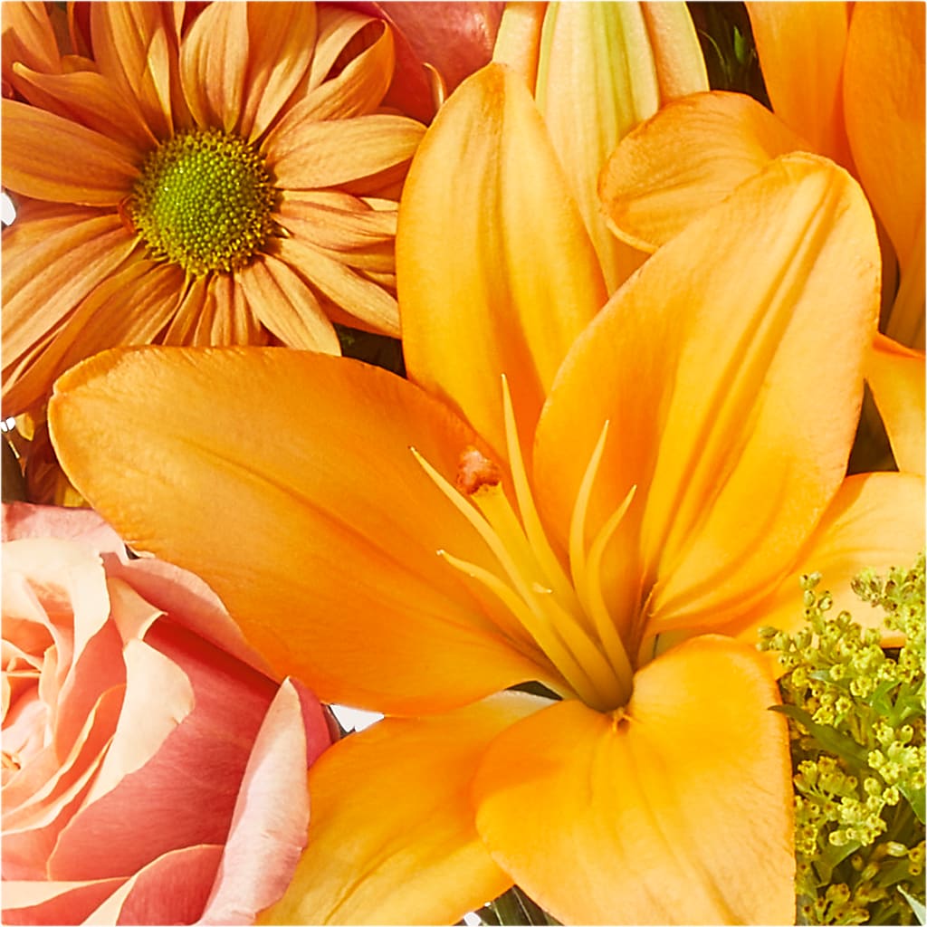 Harvest Hayride Bouquet – ANITA'S FLOWERS AND ICE CREAM LLC, Passaic NJ