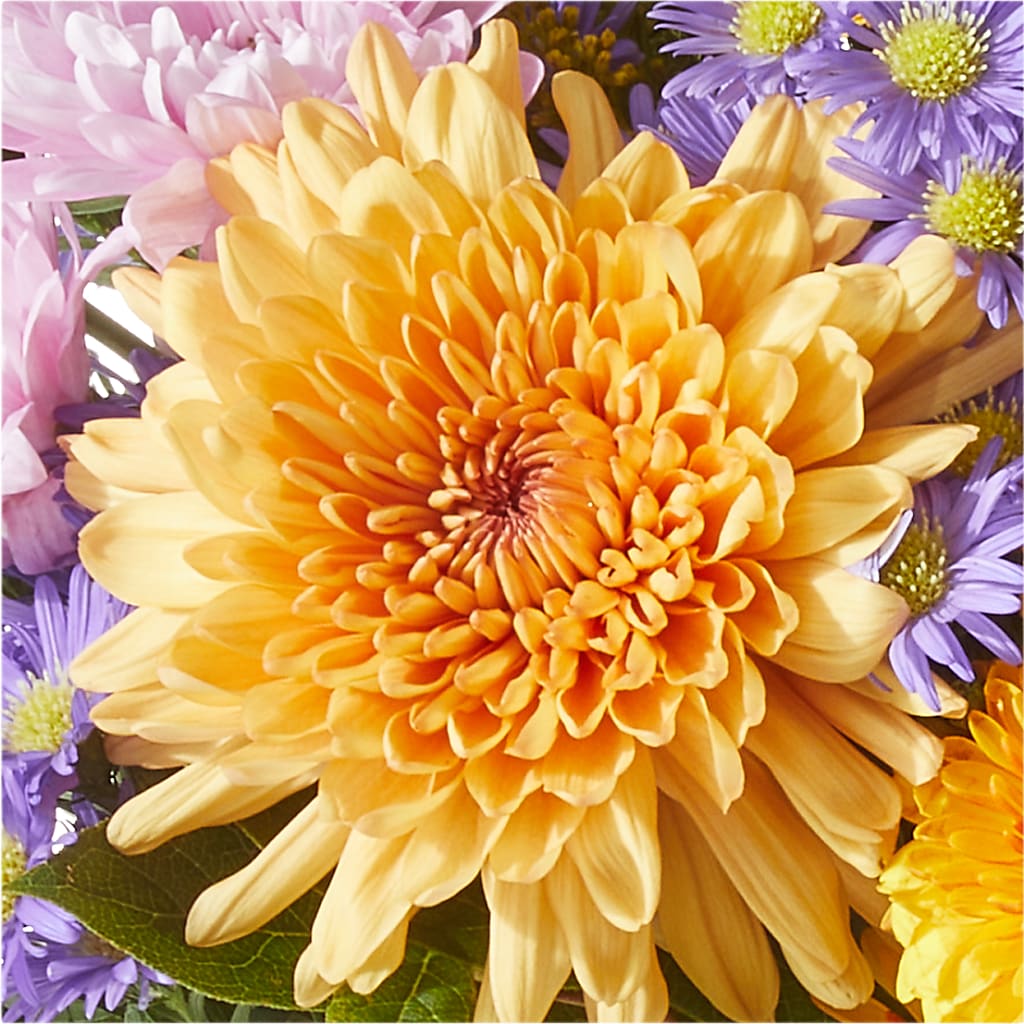 Countryside Bouquet – ANITA'S FLOWERS AND ICE CREAM LLC, Passaic NJ