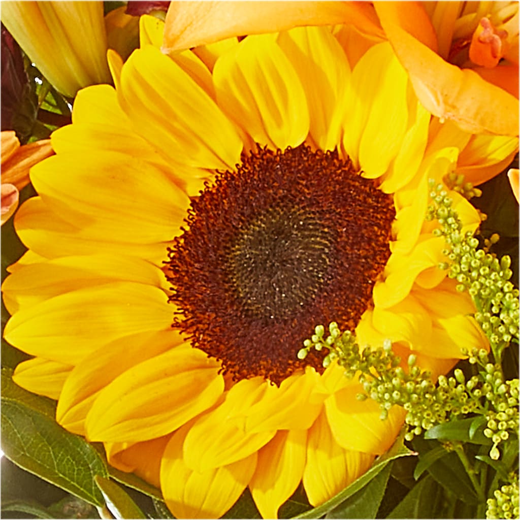 Seasons Change Bouquet – ANITA'S FLOWERS AND ICE CREAM LLC, Passaic NJ
