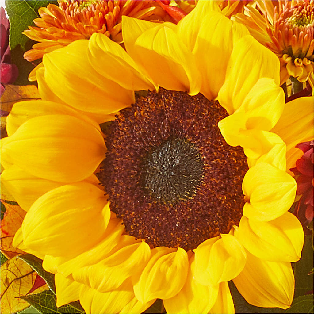 Sunny Side Bouquet – ANITA'S FLOWERS AND ICE CREAM LLC, Passaic NJ