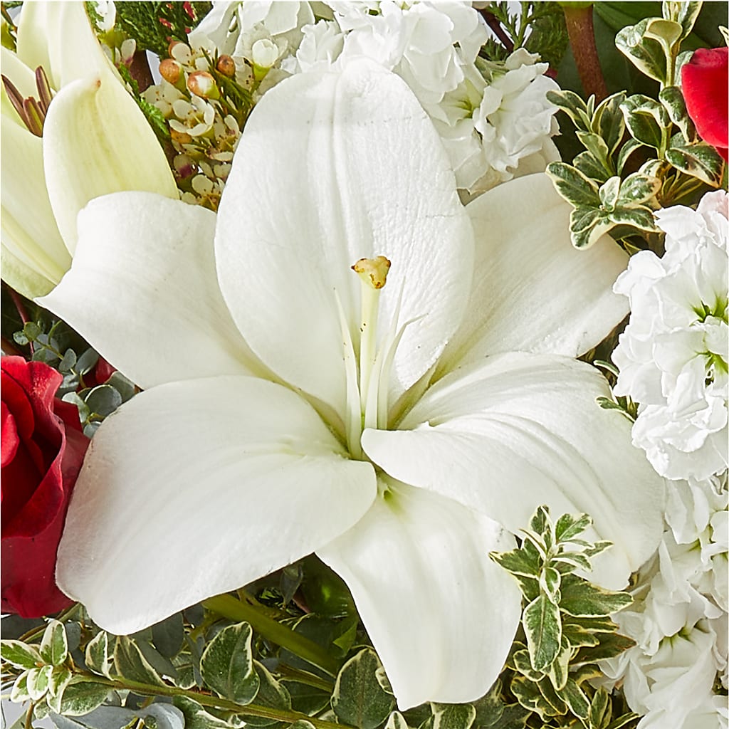 Twinkle Lights Bouquet – ANITA'S FLOWERS AND ICE CREAM LLC, Passaic NJ