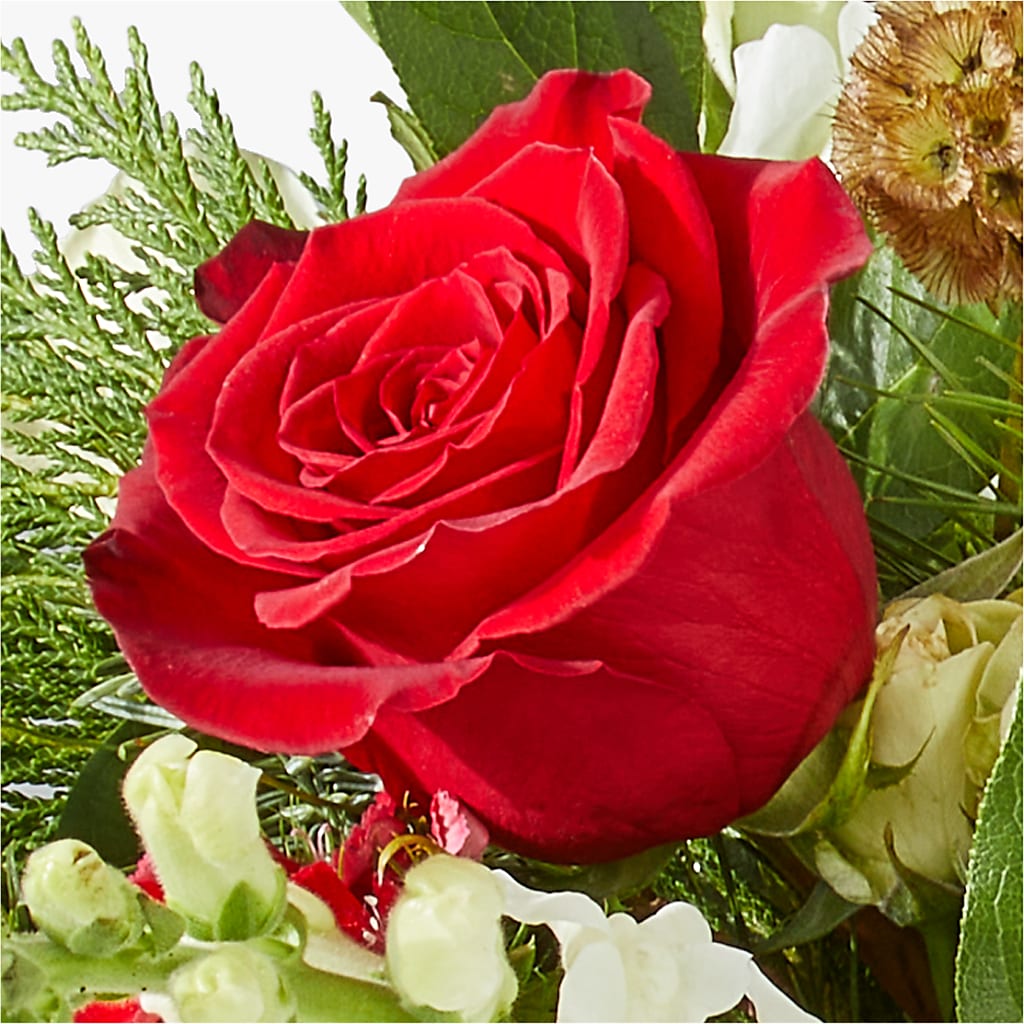 Deck the Halls Bouquet – ANITA'S FLOWERS AND ICE CREAM LLC, Passaic NJ