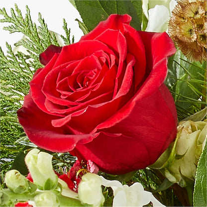 Deck the Halls Bouquet – ANITA'S FLOWERS AND ICE CREAM LLC, Passaic NJ
