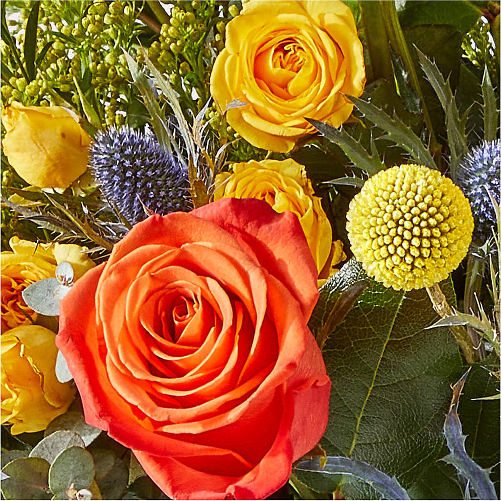 Disco Bouquet – ANITA'S FLOWERS AND ICE CREAM LLC, Passaic NJ