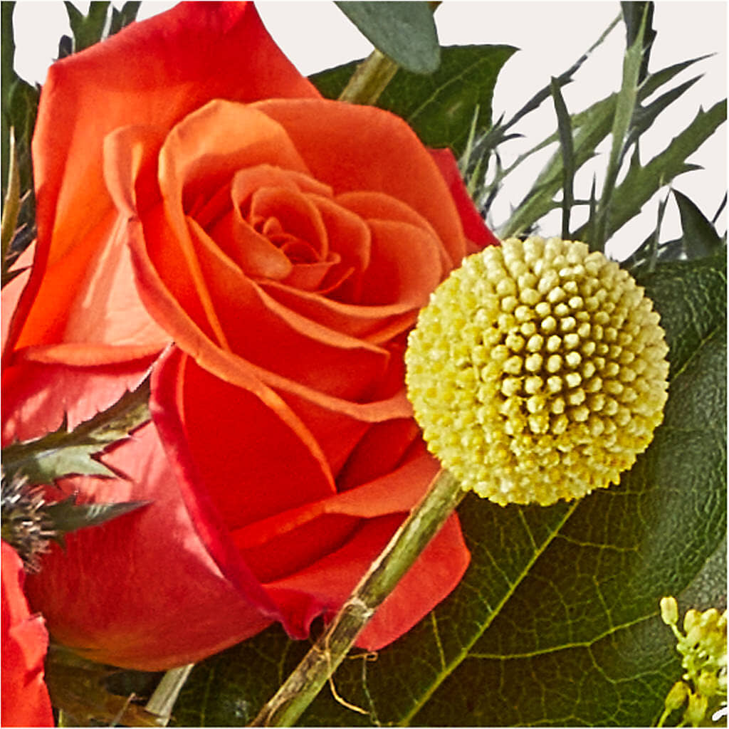 Disco Bouquet – ANITA'S FLOWERS AND ICE CREAM LLC, Passaic NJ