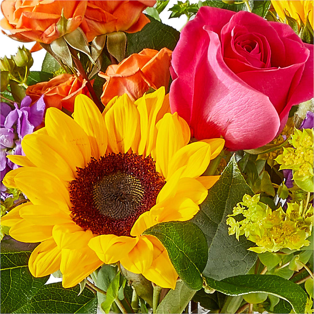 Vibrant Greetings Bouquet – ANITA'S FLOWERS AND ICE CREAM LLC, Passaic NJ