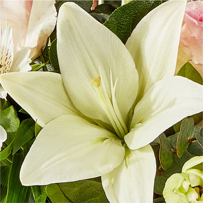 Ballet Slippers Bouquet – ANITA'S FLOWERS AND ICE CREAM LLC, Passaic NJ