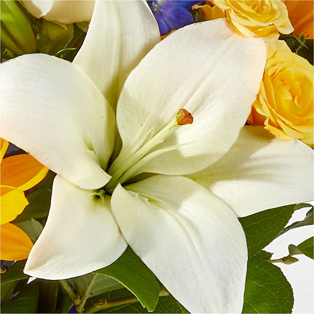 Wonderfully Sunny Bouquet – ANITA'S FLOWERS AND ICE CREAM LLC, Passaic NJ