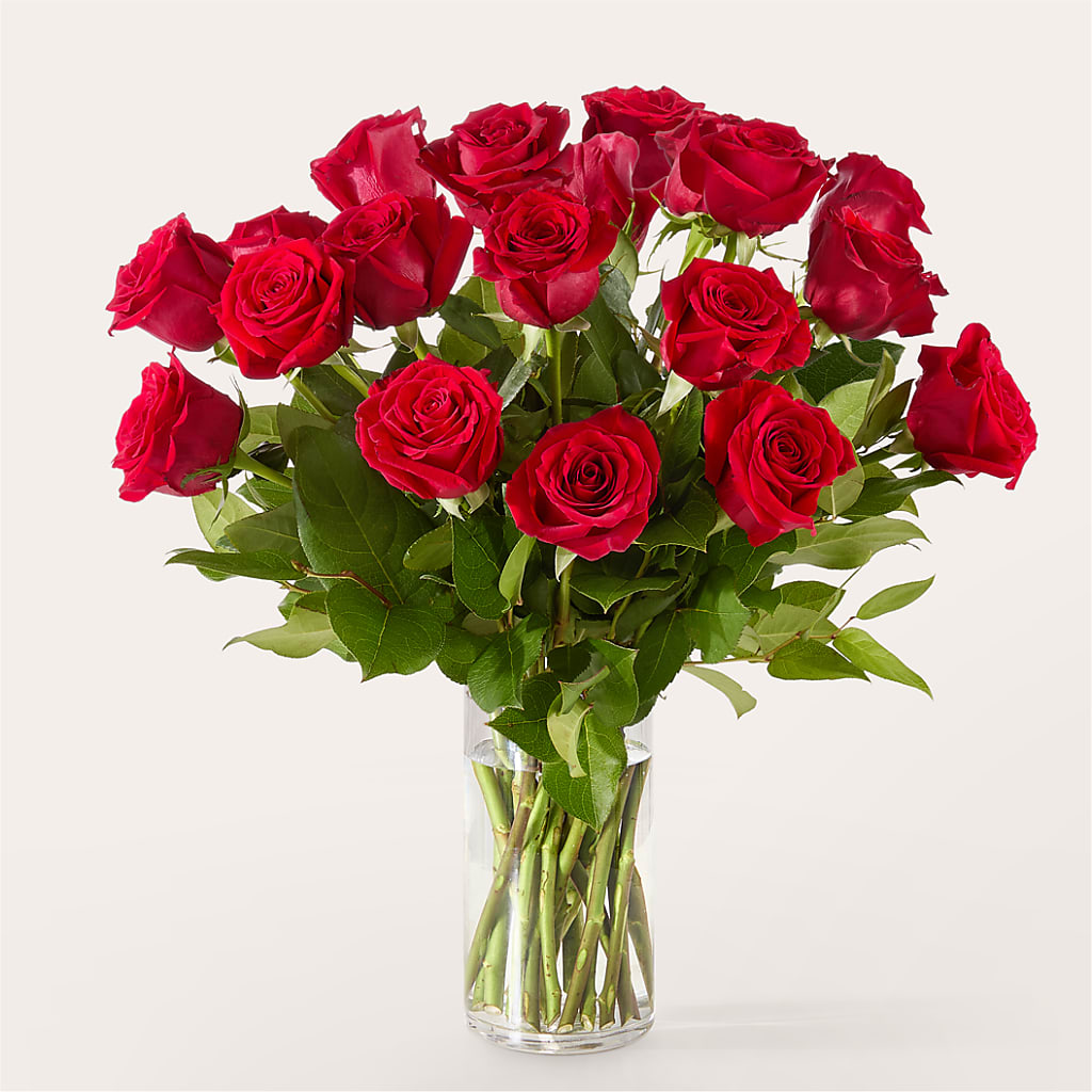 The One Red Rose Bouquet – ANITA'S FLOWERS AND ICE CREAM LLC, Passaic NJ
