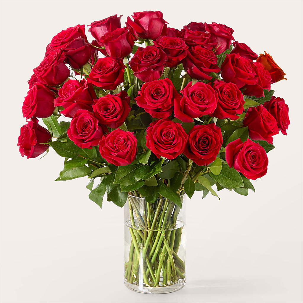 The One Red Rose Bouquet – ANITA'S FLOWERS AND ICE CREAM LLC, Passaic NJ