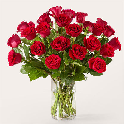 The One Red Rose Bouquet – ANITA'S FLOWERS AND ICE CREAM LLC, Passaic NJ