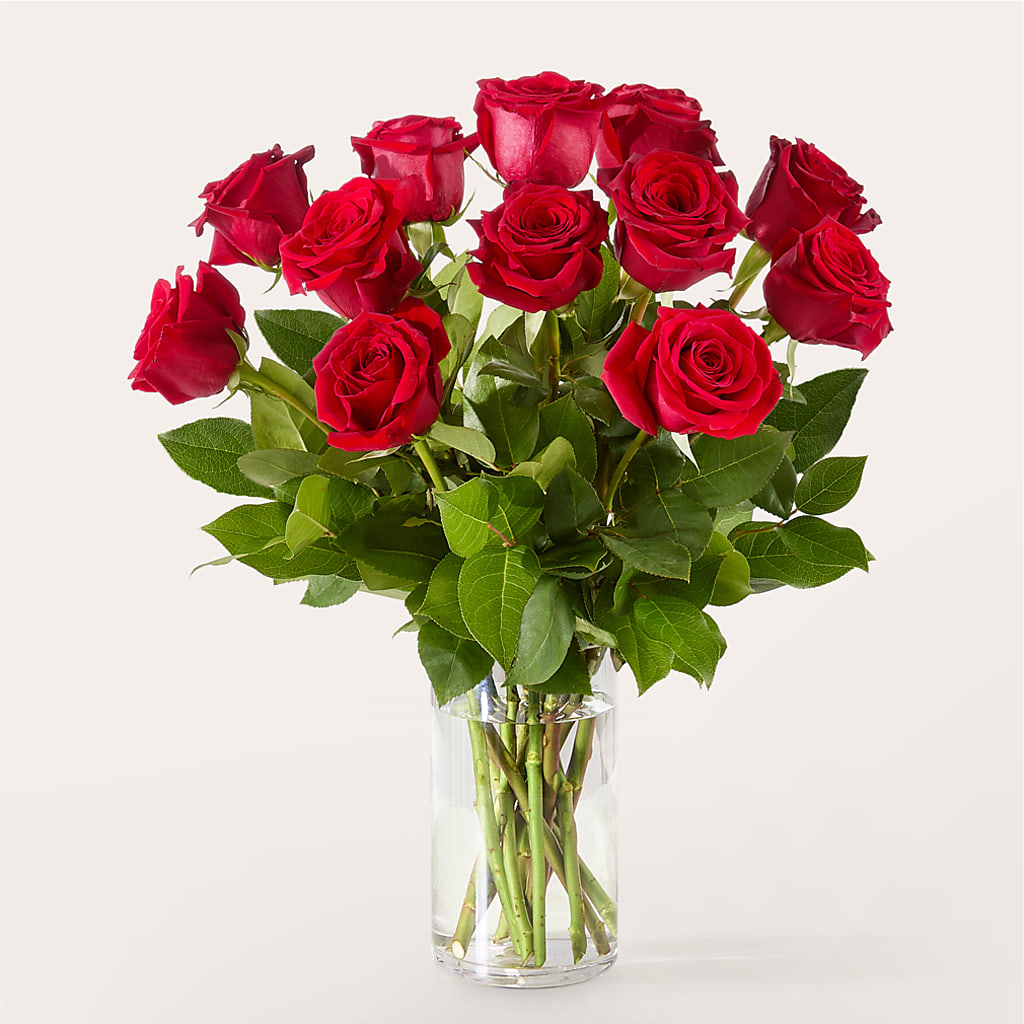 The One Red Rose Bouquet – ANITA'S FLOWERS AND ICE CREAM LLC, Passaic NJ