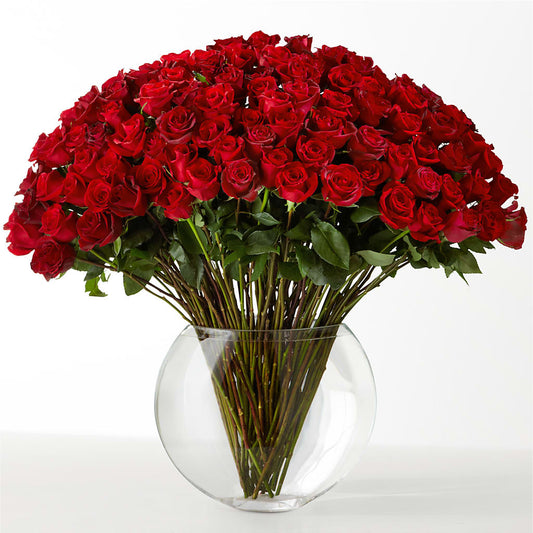 The Idealist – ANITA'S FLOWERS AND ICE CREAM LLC, Passaic NJ