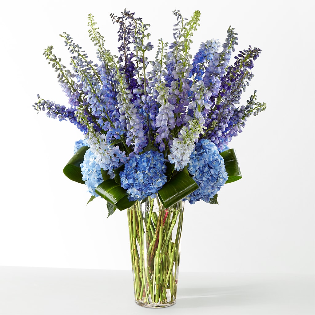 The Editorial – ANITA'S FLOWERS AND ICE CREAM LLC, Passaic NJ