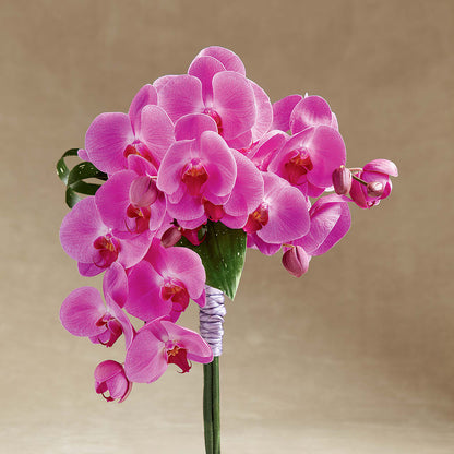 Glorious Bouquet – ANITA'S FLOWERS AND ICE CREAM LLC, Passaic NJ