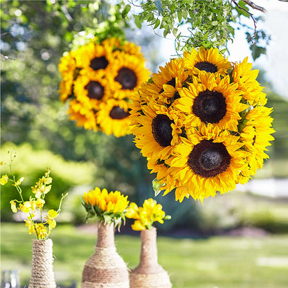 Sublime Garden Hanging Arrangement – ANITA'S FLOWERS AND ICE CREAM LLC, Passaic NJ