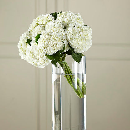White Hydrangea Hand-Tied Bouquet – ANITA'S FLOWERS AND ICE CREAM LLC, Passaic NJ