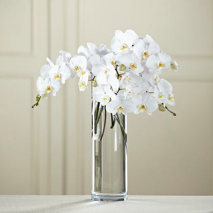 White Phalaenopsis Bouquet – ANITA'S FLOWERS AND ICE CREAM LLC, Passaic NJ