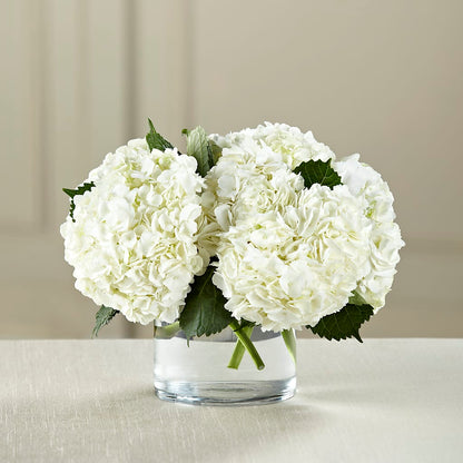 White Hydrangea Bouquet – ANITA'S FLOWERS AND ICE CREAM LLC, Passaic NJ