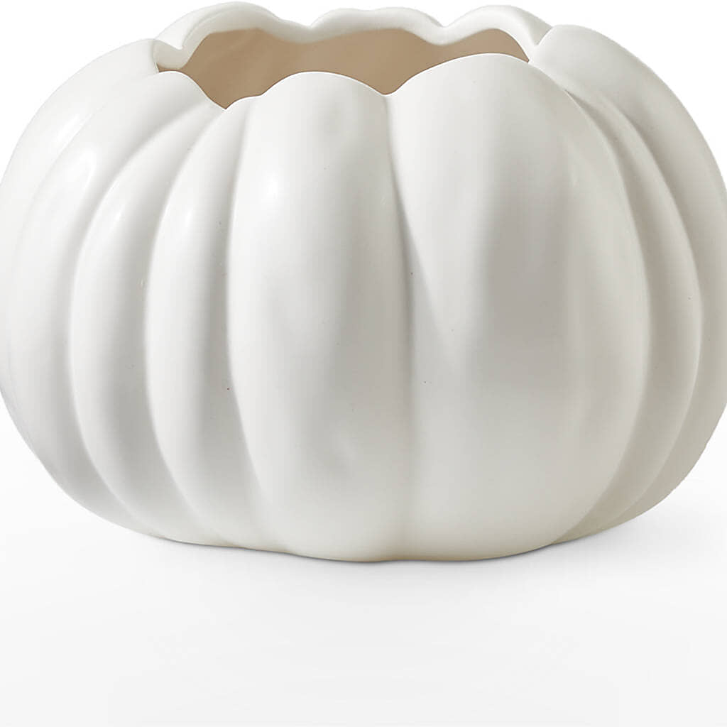Autumn Air Pumpkin Bouquet – ANITA'S FLOWERS AND ICE CREAM LLC, Passaic NJ
